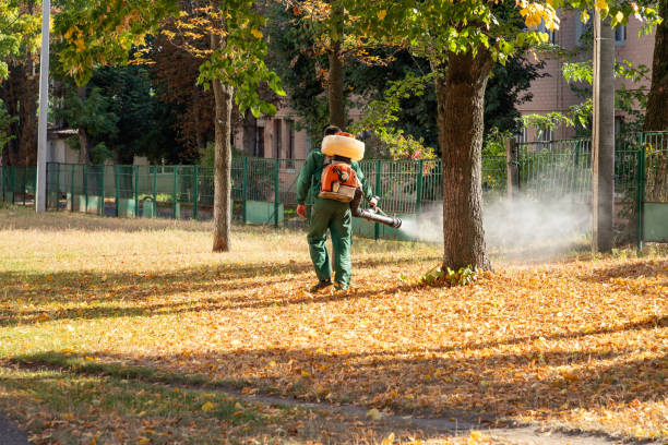 Best Commercial Pest Control Services  in Jourdanton, TX